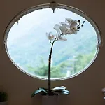 Apartman 