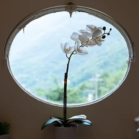 Appartamento Bella Vista Sul Di *